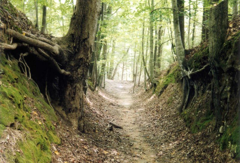 Deep Creek, Great Smokey Mountains National Park